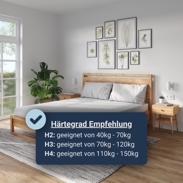 Betten-ABC KSP-Spezial Die Sondermaß-Matratze mit 7 Zonen, ideal für Wohnwagen und Wohnmobile, Größe: 65x215, Härtegrad: H2 Bild 7