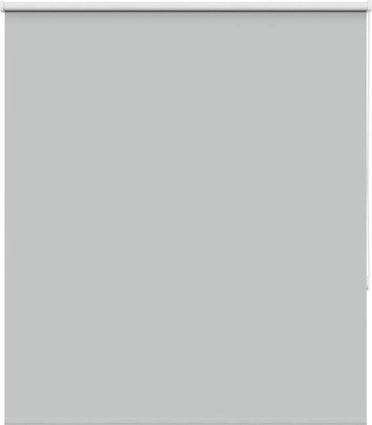 vidaXL Verdunkelungsrollo Hellgrau 120x175cm Stoffbreite 116,6cm 4011418