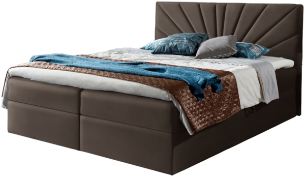 99rooms Lazzaro Boxspringbett Velours JASMINE Braun 120x200 cm Bild 5