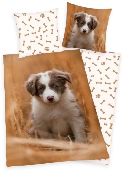 Herding Kinderbettwäsche Bettwäsche Set mit Hund Welpe135 x 200 cm 80 x 80 cm 100% Baumwolle