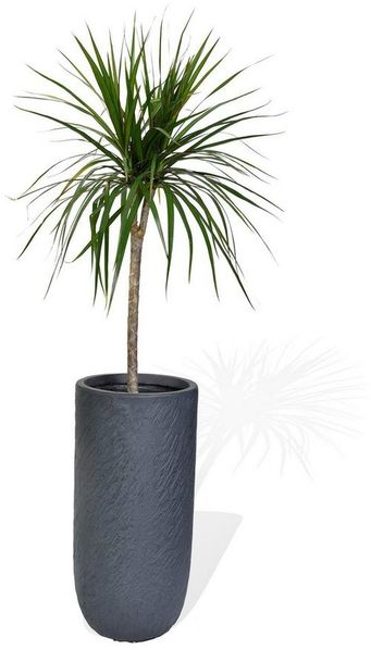 Köhko Pflanzkübel KÖHKO® Blumenkübel aus Fieberglas Pflanzkübel Rund Übertopf