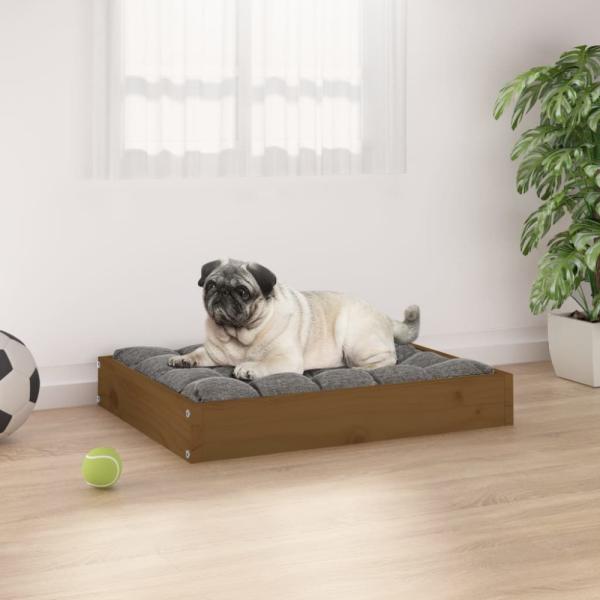 vidaXL Hundebett 61,5x49x9 cm Massivholz Kiefer, Honigbraun