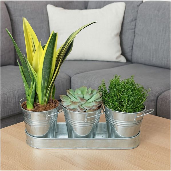 HTI-Living Pflanzkübel Zinktöpfe 3er-Set (Set, 4 St, 1 Tablett inkl. 3 Pflanztöpfe ohne Pflanzen), Blumenkübel Zinktopf Blumenkasten