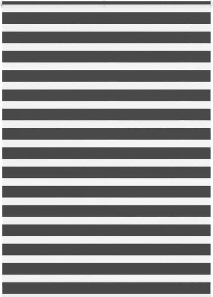 vidaXL Doppelrollo Schwarz 160x200 cm Stoffbreite 155,9 cm Polyester 4014273