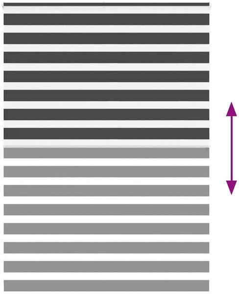 vidaXL Doppelrollo Schwarz 160x200 cm Stoffbreite 155,9 cm Polyester 4014273 Bild 5