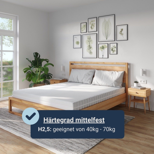 Betten-ABC Dream Spezial – Sondermaß-Kaltschaum- matratze mit 7 Zonen, Härtegrad 2,5, Höhe ca. 13 cm, Größe: 145x165 Bild 6