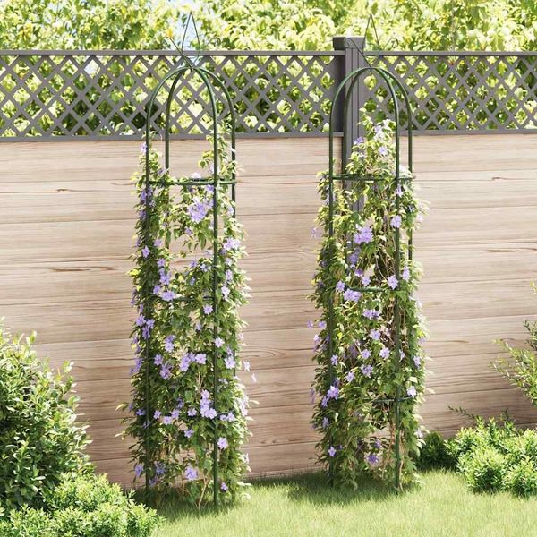 Rosenbogen | Garten-Ranktürme 2 Stk.