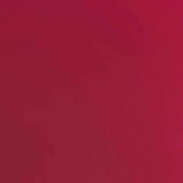 2er Set Tischsets Platzset Tischuntersetzer Platzdeckchen Tischdeko Tischmatte Essensunterlage Maße 30x45 cm, Farbe: rot - karminrot Bild 7