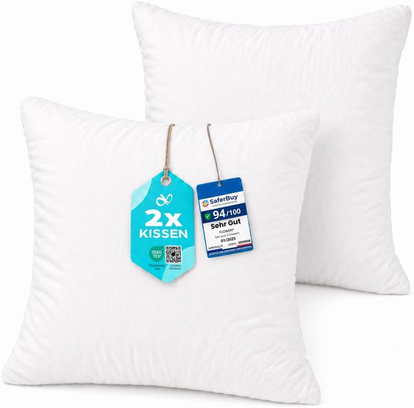 Flowen Kissen 65x65 Kopfkissen 2er Set für Sofa und Bett Innenkissen Hypoallergene Anti-Milben Kissenfüllung mit Weicher Gesteppter Kissenbezug 100% Polyester für Haus/Hotel