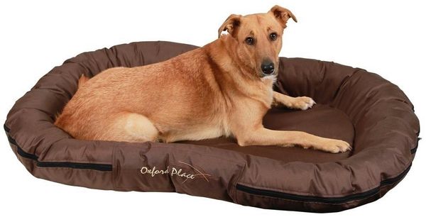 Kerbl Tierbett Kerbl Liegekissen Oxford Place braun 120x85x17 cm 84993 Bild 2