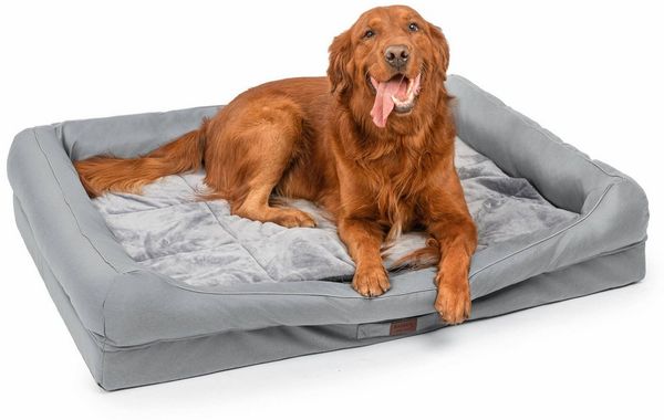 RAIKOU Hundematte Hundebett mit Abnehmbarem Kissen, Schlafplatz Hundesofa Tierbedarf, 100% Polyester, gepolstertes waschbares, mit Hundekissen