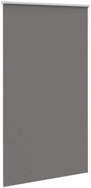 vidaXL Verdunkelungsrollo Grau 130x210cm Stoffbreite 126,6cm Polyester 4011186 Bild 3