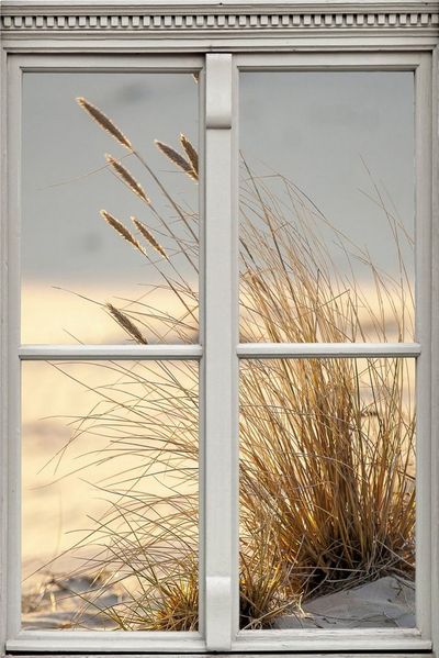 queence Wandsticker Düne, Wandsticker, Wandbild, selbstklebend, 3D, Fenster
