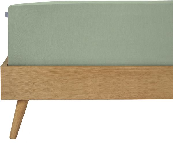 Schiesser Jersey Elasthan Spannbettlaken Elli | 97% Baumwolle aus nachhaltiger Produktion | für Matratzen 90x190cm bis 100x220cm | Matratzenhöhe bis 25cm | Hellgrün