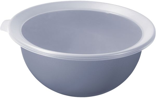 Rotho Schüssel mit Deckel Caruba 1,8 l lebensmittelgeeignet spülmaschinengeeignet stabil und leicht für Küche und Aufbewahrung