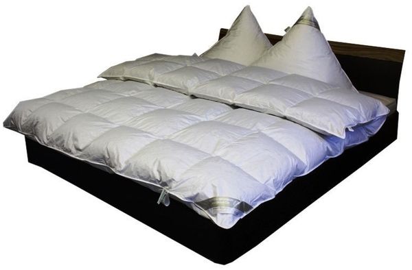 Betten Hofmann Premium 8 cm Hochsteg Daunenbett Daunendecke 135x200 100% pilsner Gänseflaum