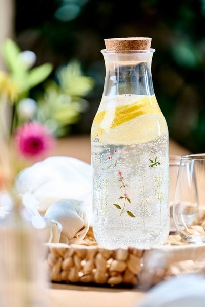 *Alpina* Karaffe Gläser Set