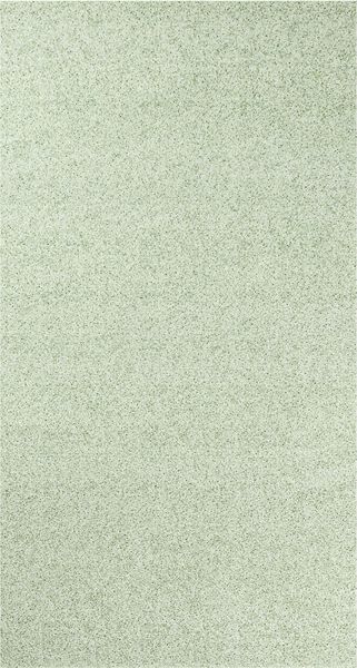 9539 Pearl Moss - 80 x 150