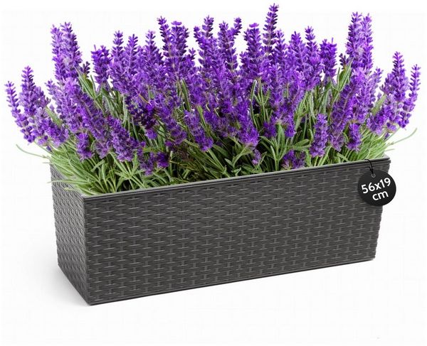 KONZEPT Balkonkasten Hochwertige Blumenkasten Rattan-Optikin, rechteckig 56 x 19 cm, Balkonkasten ideal fur Balkon, Terrasse, Fensterbank