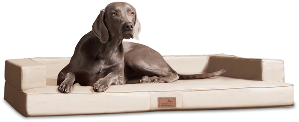GIBSON Orthopädisches Hundesofa - 80x60cm, 05 Creme