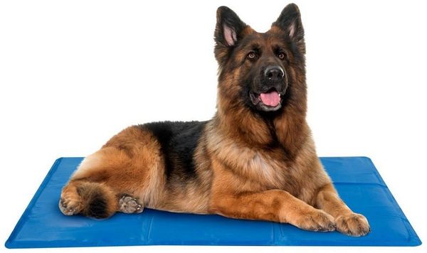 HAC24 Hundematte Kühlmatte für Hunde Haustier XL Hundekühlmatte Kühlunterlage, 80 x 60 cm, Blau