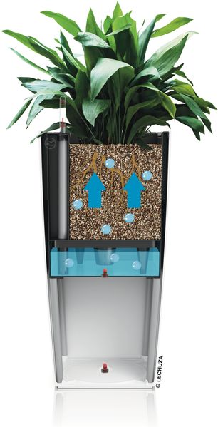 LECHUZA-Pflanzgefäß CUBICO Color 40 Schiefergrau | Pflanzgefäß mit Bewässerungssystem, Wasserstandsanzeiger und Pflanzeinsatz | matte Oberfläche | 39,5 x 39,5 x 75,5 cm | 13158 Bild 11