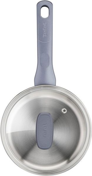 Tefal Daily Cook Saucepan 16 cm/1. 5 l. w. glass lid