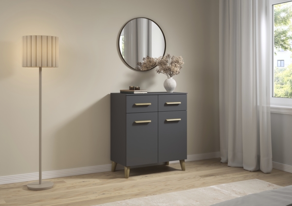 rauch Aditio Box, Kommode, 2-türig, 2 Schubladen, Massivholz-Fuß, mit Softclose-Funktion, Farbe Grau metallic, BxHxT 80x92x44cm