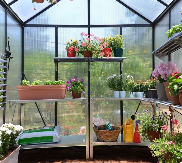 Palram - Canopia Aluminium Gewächshaus Glory 46 |