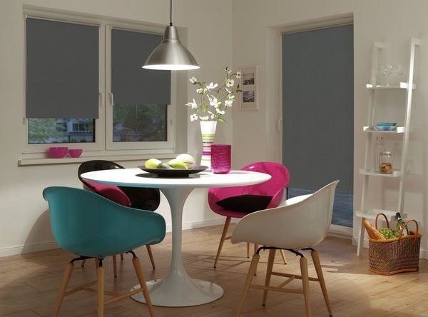 Seitenzugrollo Thermo Klemmrollo Energiesparend, my home, ohne Bohren, freihängend, Klemmfix, abdunkelnd mit Thermobeschichtung