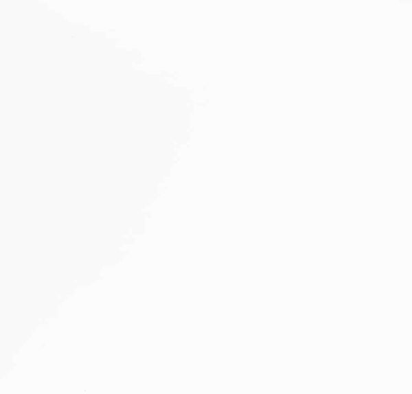 vidaXL Esszimmerstühle mit Kissen 2 Stk. Weiß Massivholz Gummibaum 4102526 Bild 8