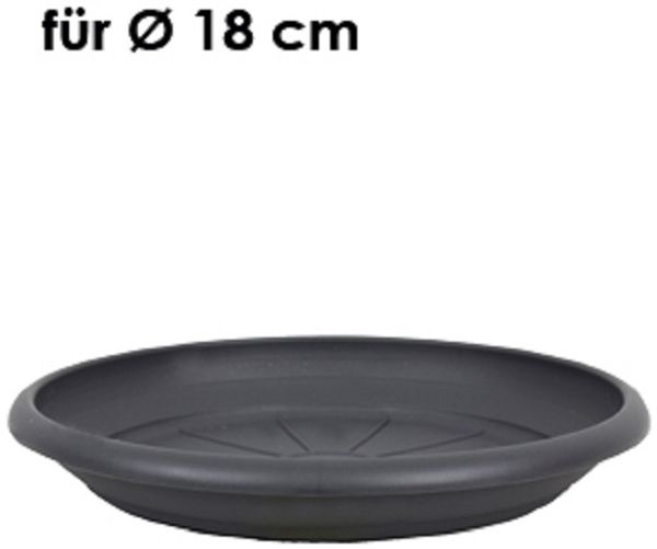 Livinja Untersetzer d= 16 cm, für Pflanzkübel Zylinder d= 18 cm, anthrazit, Polypropylen
