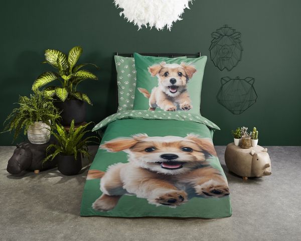 good morning Kinderbettwäsche Mambo, Renforcé, 2 teilig, Baumwolle, Renforcé, Wendeoptik, Kind, Hund, Grün