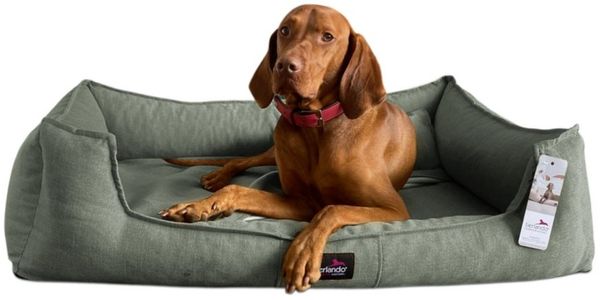 tierlando® Tierbett Orthopädisches Hundebett SCARLETT - inklusive Matratzenschoner