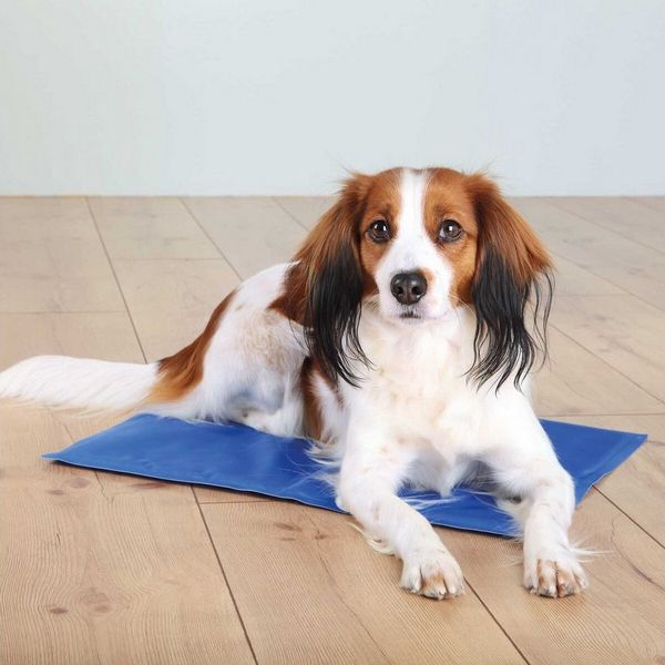 TRIXIE Tierbett Kühlmatte - blau/grau - 65 × 50 cm