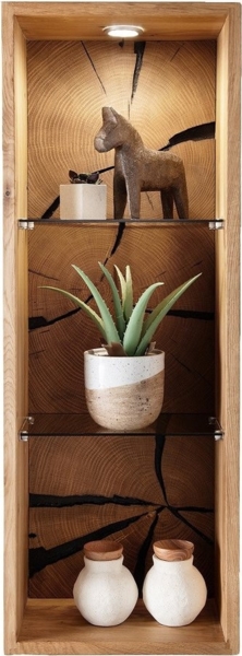 Wandregal 34x94cm 'Danzig II' Wildeiche massiv