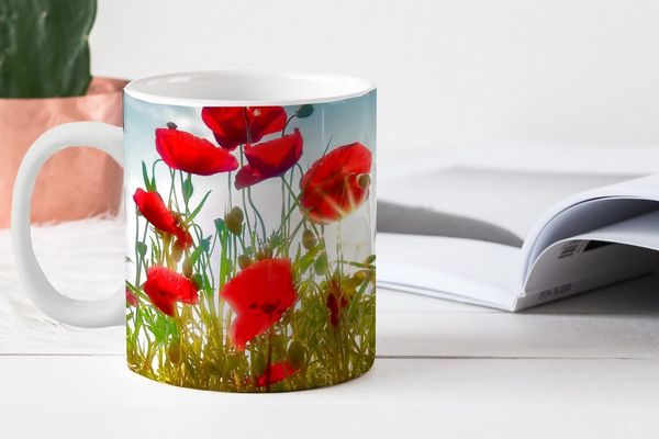 MuchoWow Tasse Mohnblumen - Toskana - Sonne - Rot - Blau, 1-tlg, Keramik, Kaffeetassen, Teetasse, Becher, Kaffeebecher, Geschenk