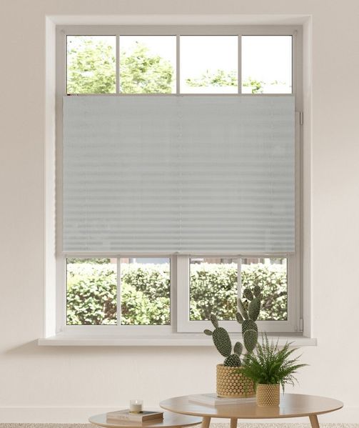 my home Plissee DAHRA - in Crush-Optik, Lichtschutz, ohne Bohren, verspannt, Klemmfix, Fixmaß, Bestseller mit über 5500 4,5-Sterne-Bewertungen, Klemmträger