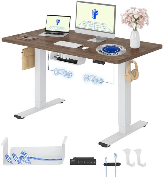 FLEXISPOT Höhenverstellbarer Schreibtisch mit 2 Motoren & 25MM EINTEILIGER Tischplatte 120x80 cm, Ergonomischer Bürotisch Elektrisch mit Kabelmanagement, Memory Funktion & Höhenanzeige