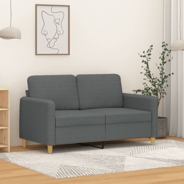vidaXL 2-Sitzer-Sofa Dunkelgrau 120 cm Stoff 359471