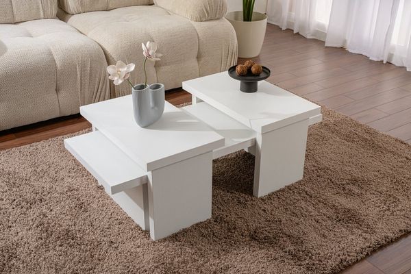 Skye Decor Couchtisch 100% MELAMINE COATED PARTICLE BOARD, 41,5 x 45 x 110 cm D1219