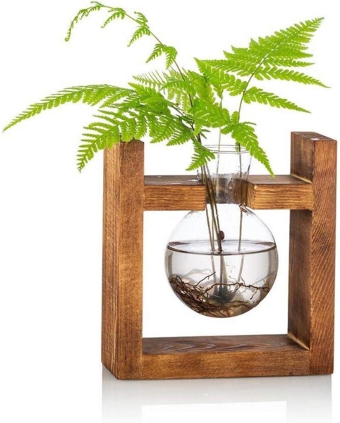 Glühbirne Avocado Vase Glas Pflanzgefäß Holzregal Grünwasserpflanzen Desk Decor