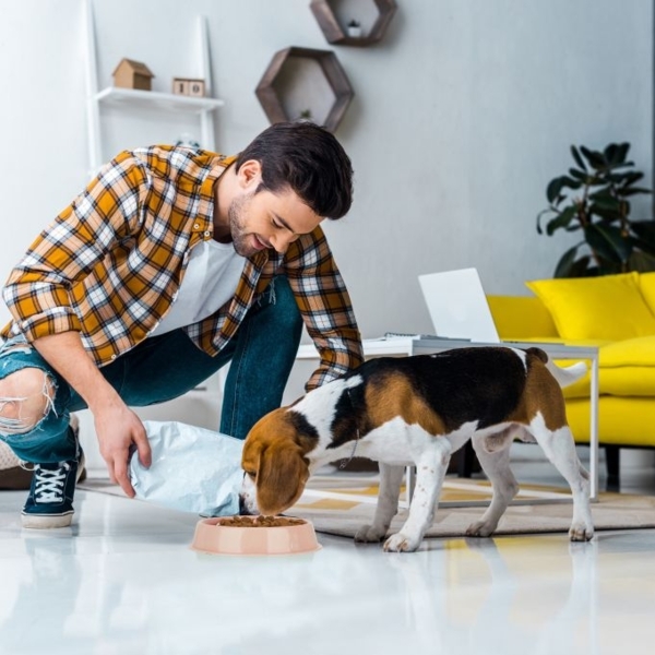 2 x Anti Schling Napf 400 ml rosa 10048987 Bild 3