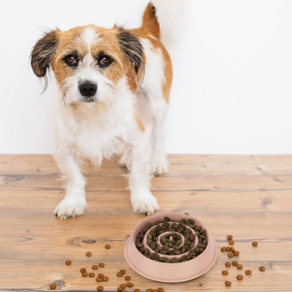 2 x Anti Schling Napf 400 ml rosa 10048987 Bild 2