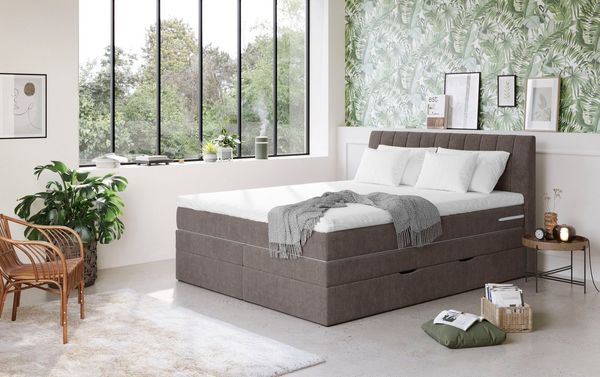 COTTA Boxspringbett Shark inkl. Bettkasten und Topper, erhältlich in den Breiten 140x200cm, 160x200cm und 180x200cm