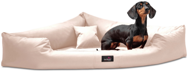 TRIVIA Orthopädisches Hundebett Dreieckbett - 120x120cm, 05 Creme