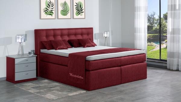 Meisterbetten Boxspringbett Celo 100x220 in MS-Red, Matratzenbezug Nano, Ergoflex-Topper Bild 3