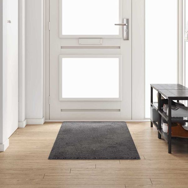vidaXL Teppichläufer Grau 80 x 250 cm 100% Polypropylen Tuft 42011390