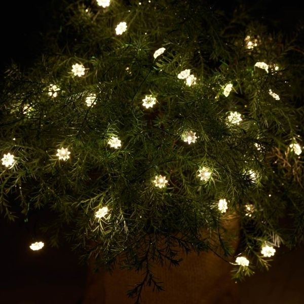 Sirius Silke Mini-Lichterkette - Blumen - 40 LED - klar/grün