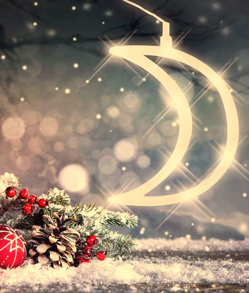 LED-Weihnachtsdeko Stern Mond Glocke Rentier Fensterdeko Lichterkette Saugnapf